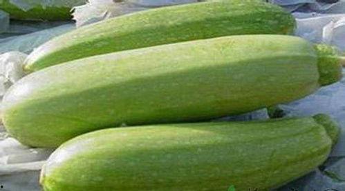 小朋友吃茭瓜,小朋友的味蕾探险记