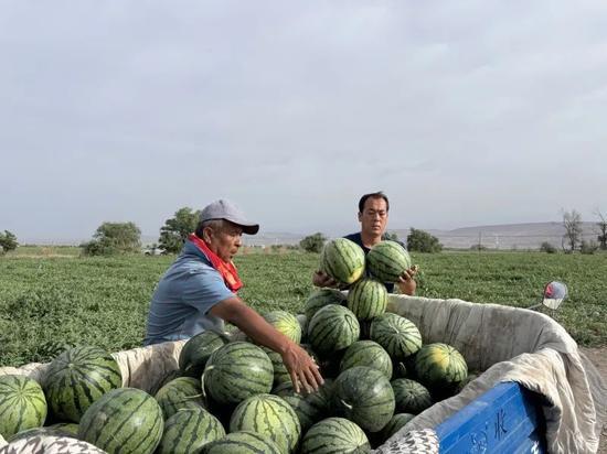 永年三妯娌吃瓜,一场家庭纷争背后的邻里热议