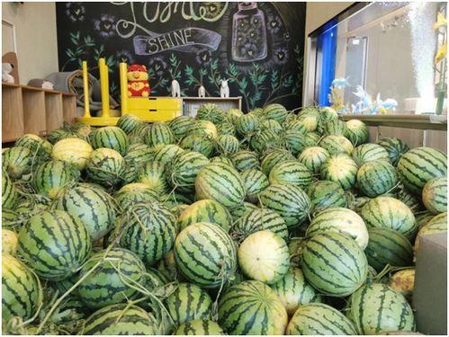 免费吃瓜 最新,揭秘网络热点的幕后故事