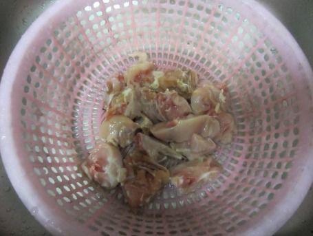 兔子吃茄瓜吗,探究兔子是否食用茄瓜的奥秘