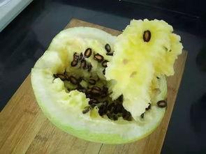 秋天籽瓜怎么吃,探索秋天籽瓜的多彩食法