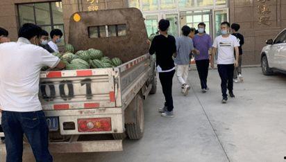 石家庄吃瓜新闻,揭秘本地热点事件背后的真相与笑料