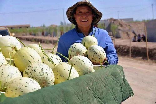 逛吃扬州瓜州,寻味古韵，畅游美食之旅