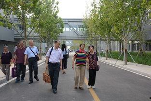 安新中学吃瓜,揭秘校园里的“瓜田”风云