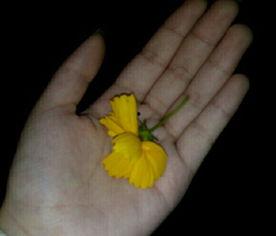 吃瓜群众吃玉米视频