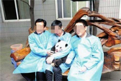 吃瓜群众唏嘘不已,揭秘娱乐圈最新热点事件