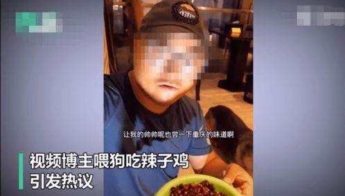 吃瓜博主兵荒马乱,揭秘吃瓜博主背后的故事