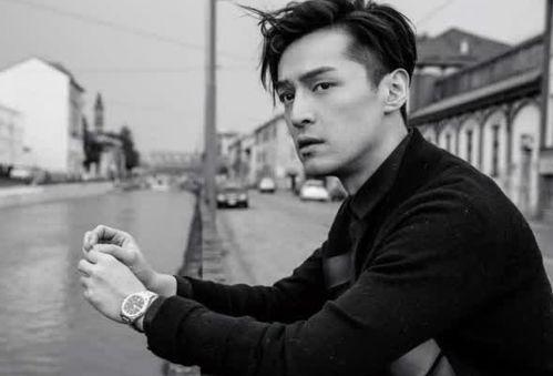 胡歌自己吃瓜,揭秘娱乐圈幕后趣闻