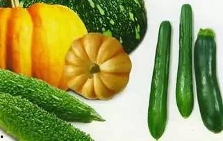 小可吃瓜,揭秘娱乐圈那些不为人知的幕后故事