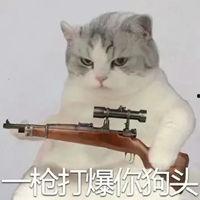 狗头与吃瓜表情,趣味横生的网络新宠