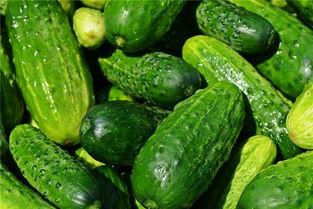 梦到情人吃两瓜,两瓜背后的情感密码