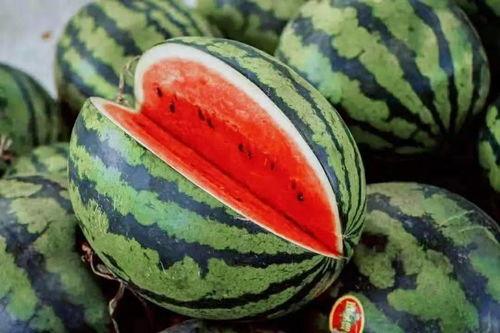 汉朝吃瓜指南,揭秘古代皇家饮食文化