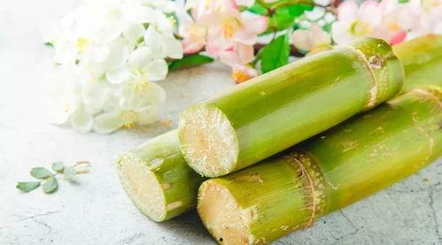 佳和甘蔗吃瓜,甜蜜瓜果，尽享夏日清凉