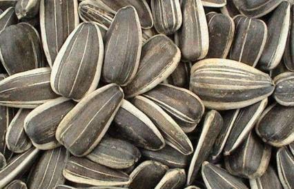 奶葵吃瓜,揭秘娱乐圈的甜蜜瓜田