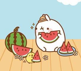 今天吃瓜不长胖