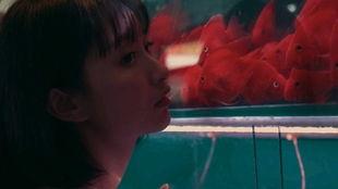 吃瓜摇头女孩,揭秘网络红人的崛起之路