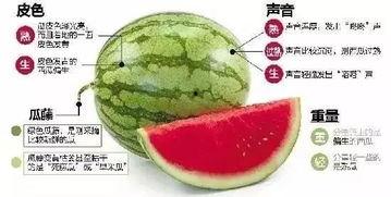 吃瓜炸裂微信,吃瓜炸裂！微信热议事件盘点