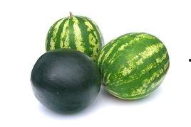 薛城吃瓜事件,一场网络舆论的风暴与反思