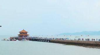 青岛栈桥吃瓜,夏日消暑吃瓜好去处