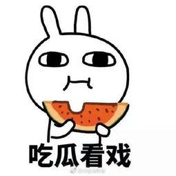 吃瓜有错吗,理性看待网络舆论的探讨