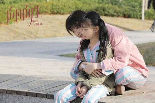 向阳而生熊顿吃瓜