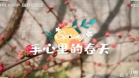 吃瓜群众最认真,吃瓜群众最认真的深度剖析