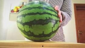 不喜欢吃瓜正常吗,正常还是特立独行？