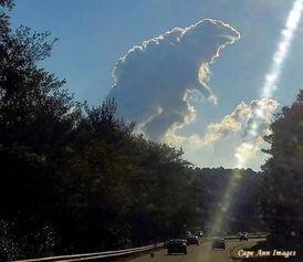 吃瓜群众哥斯拉,一场惊心动魄的怪兽对决