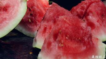 吃瓜喝茶好吗,品味生活百态