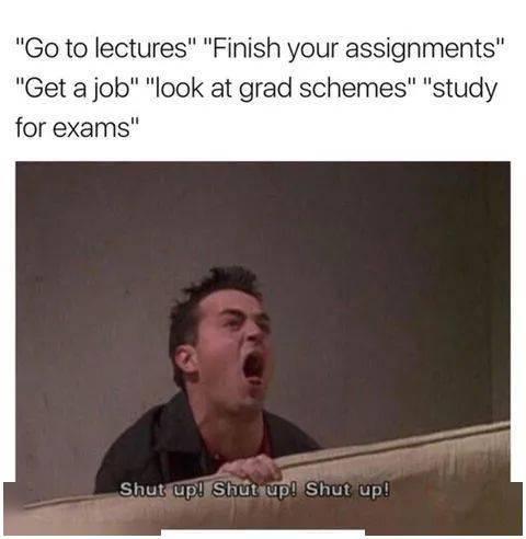 吃瓜实录电影,揭秘娱乐圈背后的真相与笑料