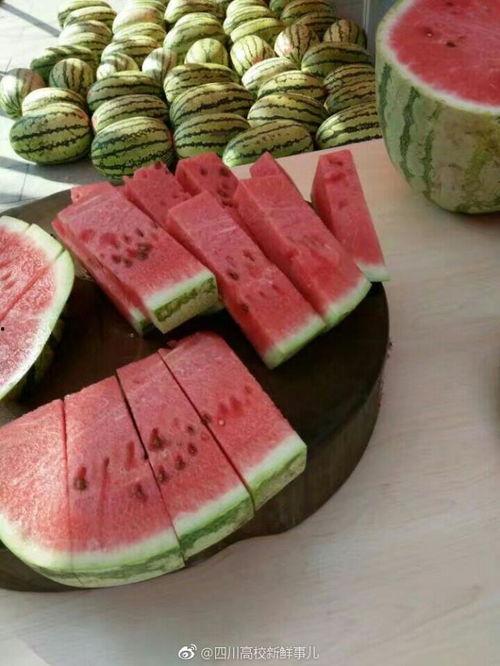 成都大学吃瓜视频,揭秘校园生活趣味瞬间