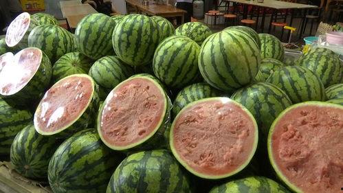 吃瓜的情况,揭秘吃瓜群众的日常