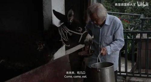 猛兽吃瓜,揭秘野生动物的生存法则