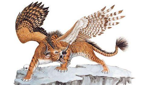 神兽回笼吃瓜视频下载,揭秘热门吃瓜视频下载背后的故事