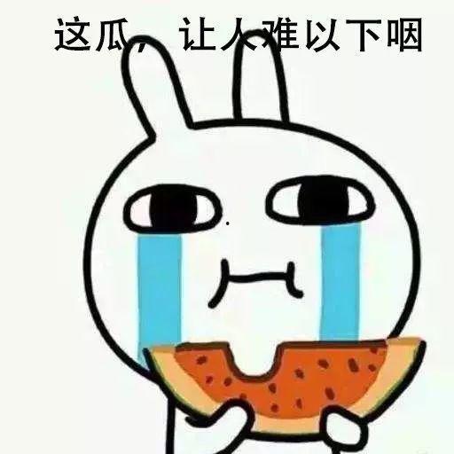 海角吃瓜吃到自家,自家瓜田里的欢乐与成长