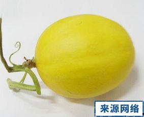 孕妇夏天吃瓜图片,清凉瓜果，孕妇的夏日美味选择