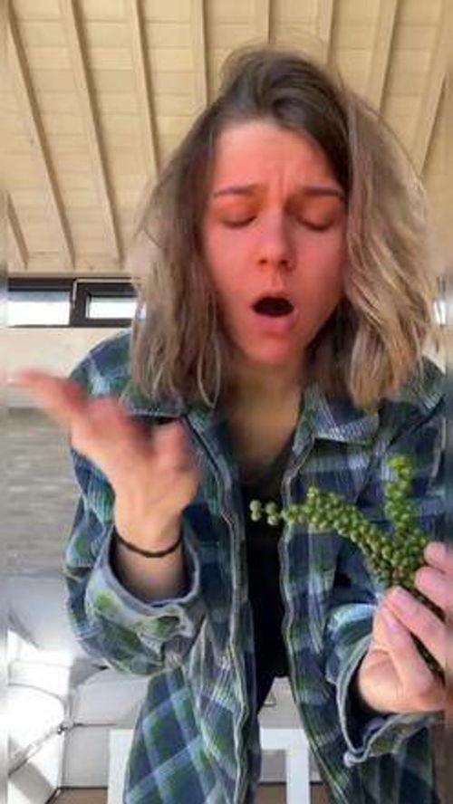 anna阿姨吃瓜,安娜阿姨的瓜田奇遇记