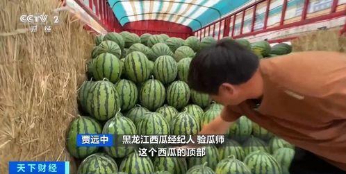 兴安盟吃瓜号,揭秘当地美食与趣闻