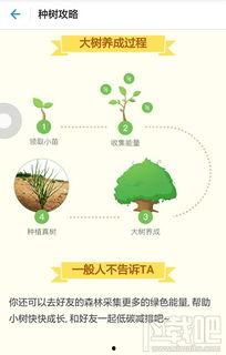 蚂蚁森林能量吃瓜,绿色生活新风尚