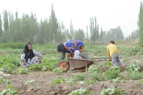 河石坝吃瓜群众,吃瓜群众的夏日狂欢现场